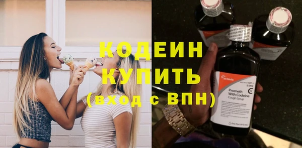 ГАЛЛЮЦИНОГЕННЫЕ ГРИБЫ Ельня