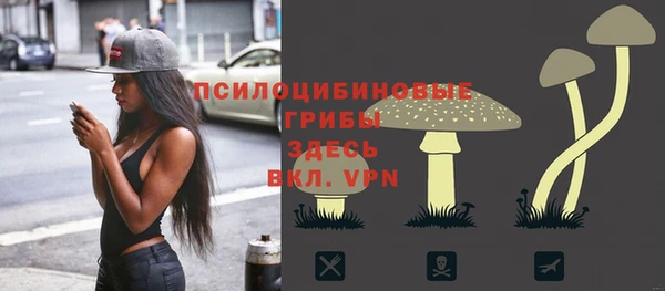 круглые Пересвет