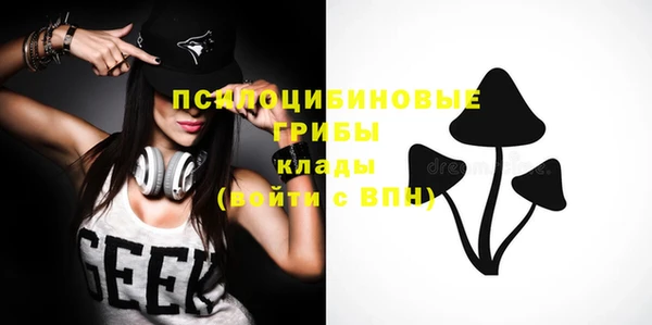круглые Пересвет