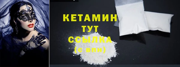 ГАЛЛЮЦИНОГЕННЫЕ ГРИБЫ Ельня