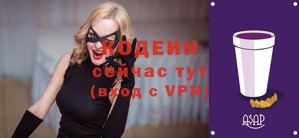 твердый Елизово
