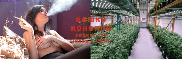 хмурый Шали