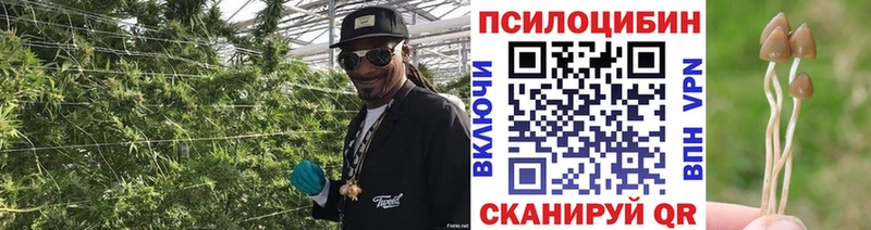 Псилоцибиновые грибы мухоморы  Кинешма 